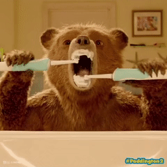 Paddington 2 GIF 10.gif