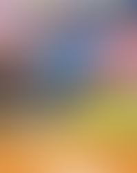 3/19/2026 音楽と友情