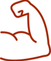 שריר.png