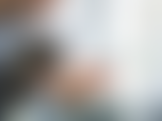 What to Do When Your Cat’s Behavior Feels Like Too Much