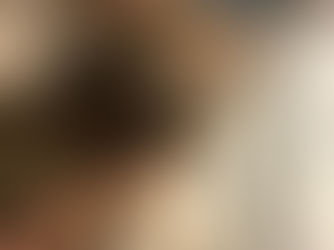 Paws With a Purpose: Inside the Quiet Power of Therapy Cats