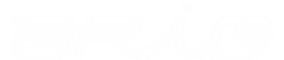 BRIO3.png
