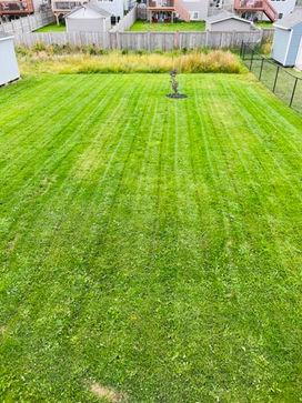 Landscaping