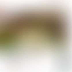 Foodie Friday Pairing