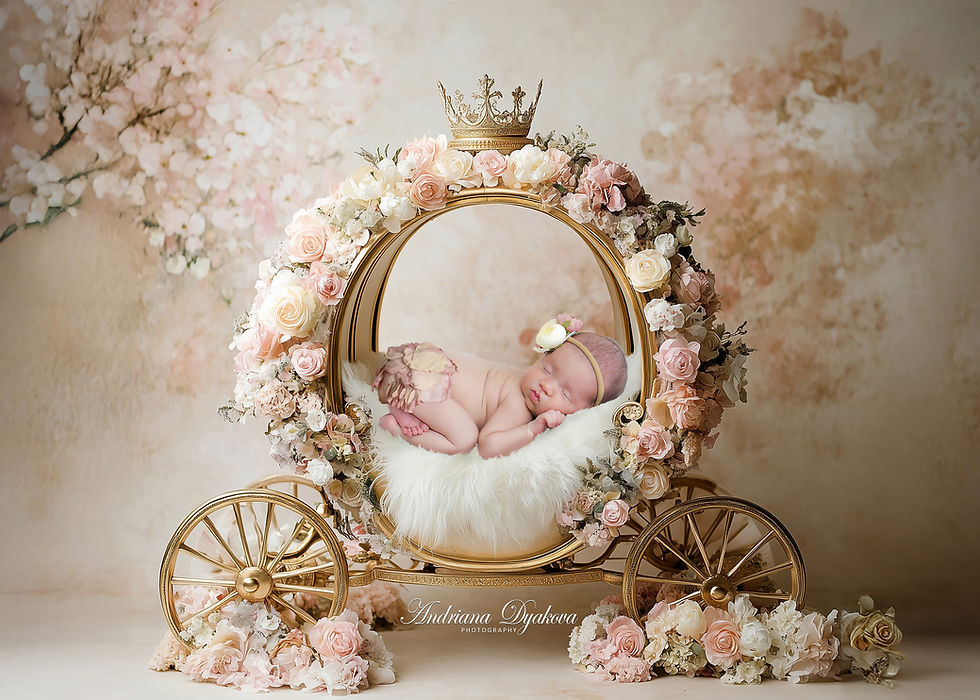 A sleeping baby in a flower-adorned golden carriage with a crown, on a soft white fur blanket. Pastel floral backdrop. Text reads "Andriana Dyakova Photography."