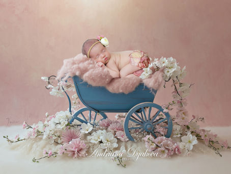 Sleeping baby in a blue cart adorned with pink blankets and flowers, set against a soft pink background. Text reads: Andriana Dyakova.