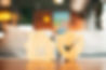 WoodenShield_edited.jpg