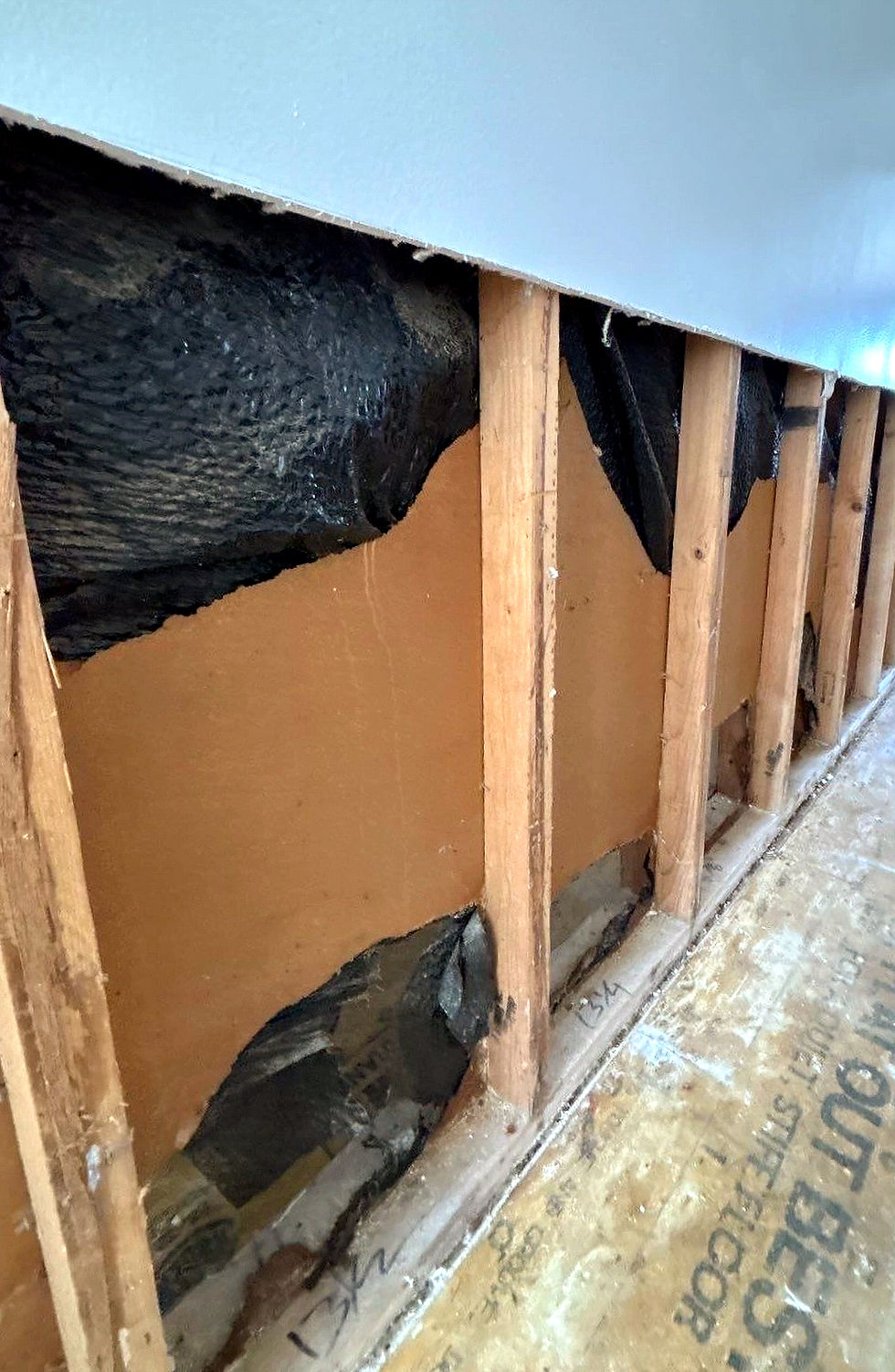 BehindDrywall_edited.jpg