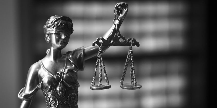 Law_edited_edited.jpg