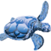 The Turtle Club logo