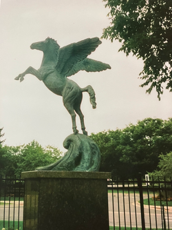 IMG_20250628_104142 (2)