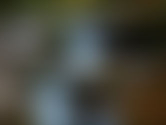 Rivers, Streams, and Reservoirs: Choosing Gear for Different Waters