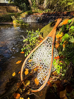 home page top 3 photos