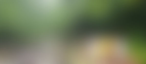 용추계곡트레킹