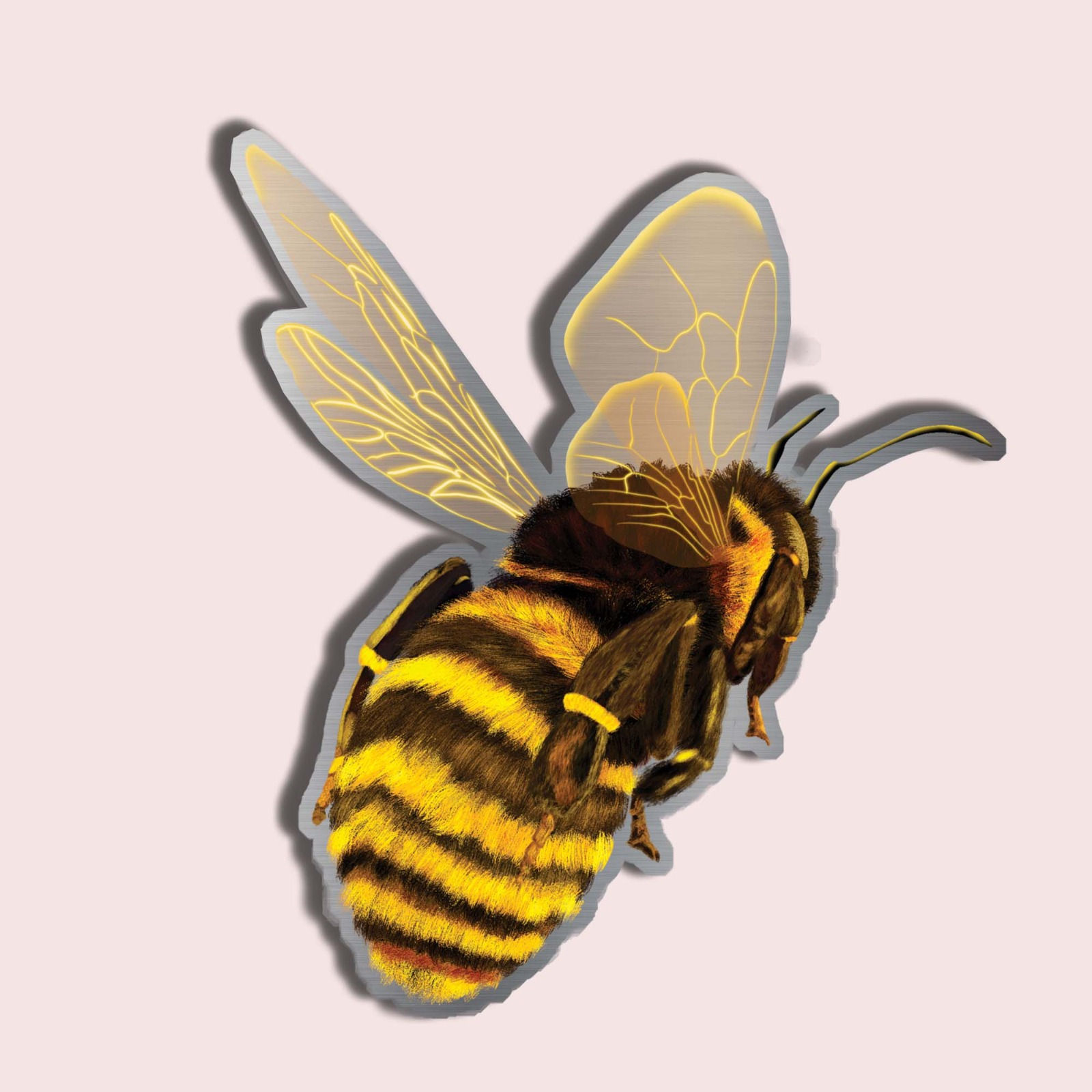 Bumblebee Pin