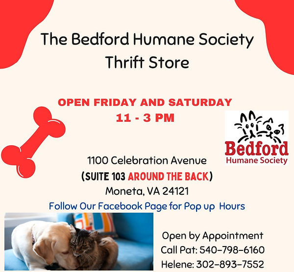 Thrift Store Info.JPG