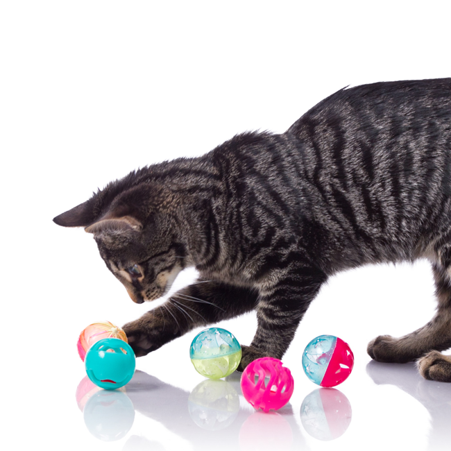 3270082183_hartz_just_for_cats_bizzy_balls_cat_toy_demo_650x650.webp