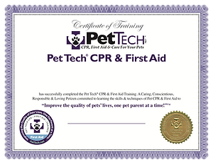 PetTech CPR First Aid
