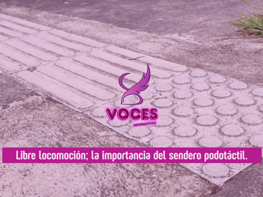 La huella que guía: la importancia del sendero podotáctil