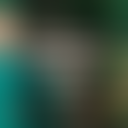 Autoridades Urbanísticas y su Competencia en Panamá; Ley 6 de 2006 y Ley 14 de 2015