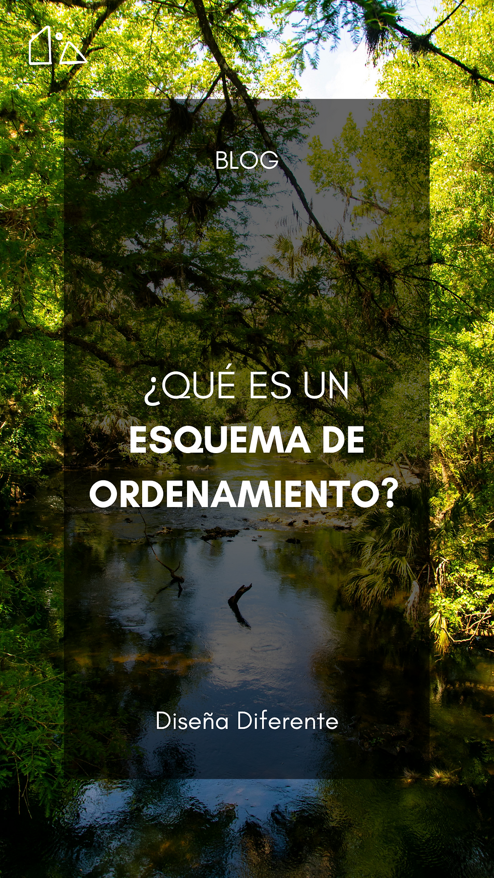 ¿Qué es un Esquema de Ordenamiento? 