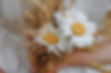 bannerflower.jpg