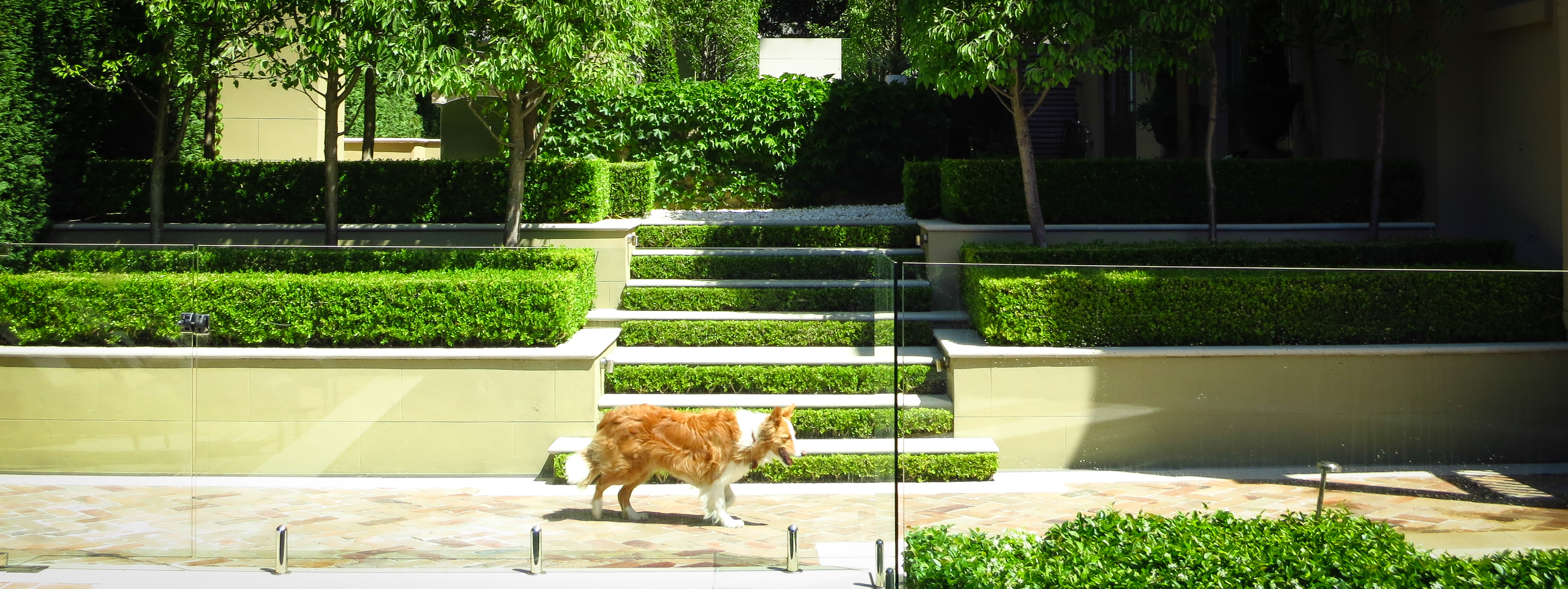 Tudor Rose Landscapes