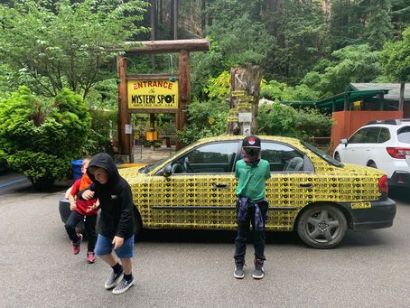 Out & About: Mystery Spot | Santa Cruz, Ca