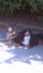2010-08-19+16.05.36.jpg