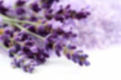 Aromatherapy Essential Oils Singapore, Eucalyptus Oil Singapore, Aromatherapy Spa Treatments Singapore, Hot Spring Aromatherapy Singapore