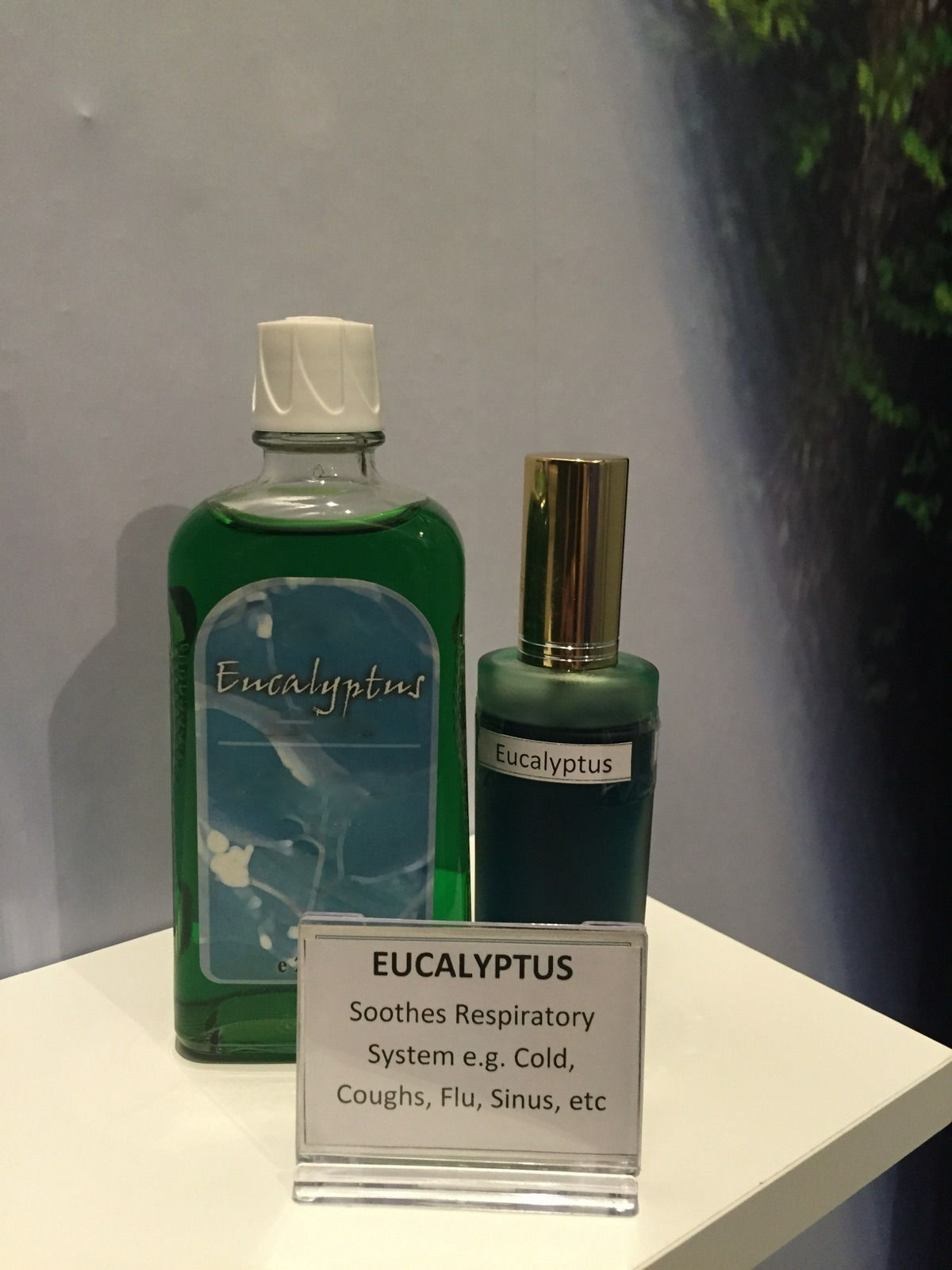 Eucalyptus Essential Oil