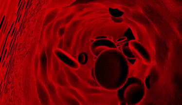 Picture1.gif