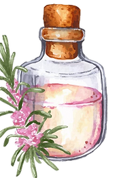 oie_transparent.png