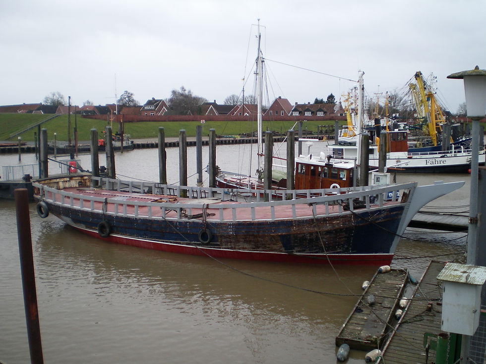 SANY1485