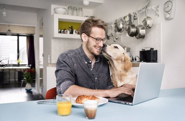 A man sits at his kitchen table at a laptop eating breakfast with his dog sniffing his face
