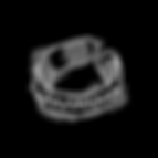 ring2.png