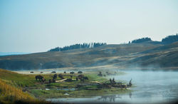 _DSC0403 (2)