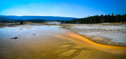 _DSC0880