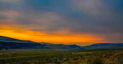 _DSC0305 (3)-2