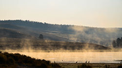 _DSC0351 (2)