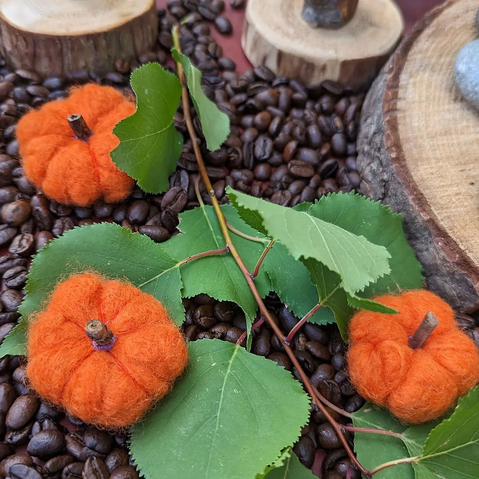 Thumbnail: Felt Pumpkins