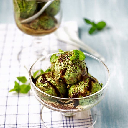 NordicNordic Chaga ice cream