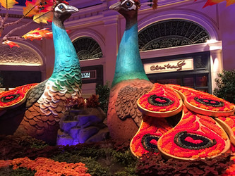 Las Vegas!