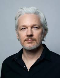 Assange : A Jounalist or A Terrorist