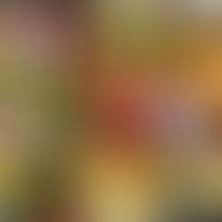 Chicken and Veggies Sheet Pan Meal