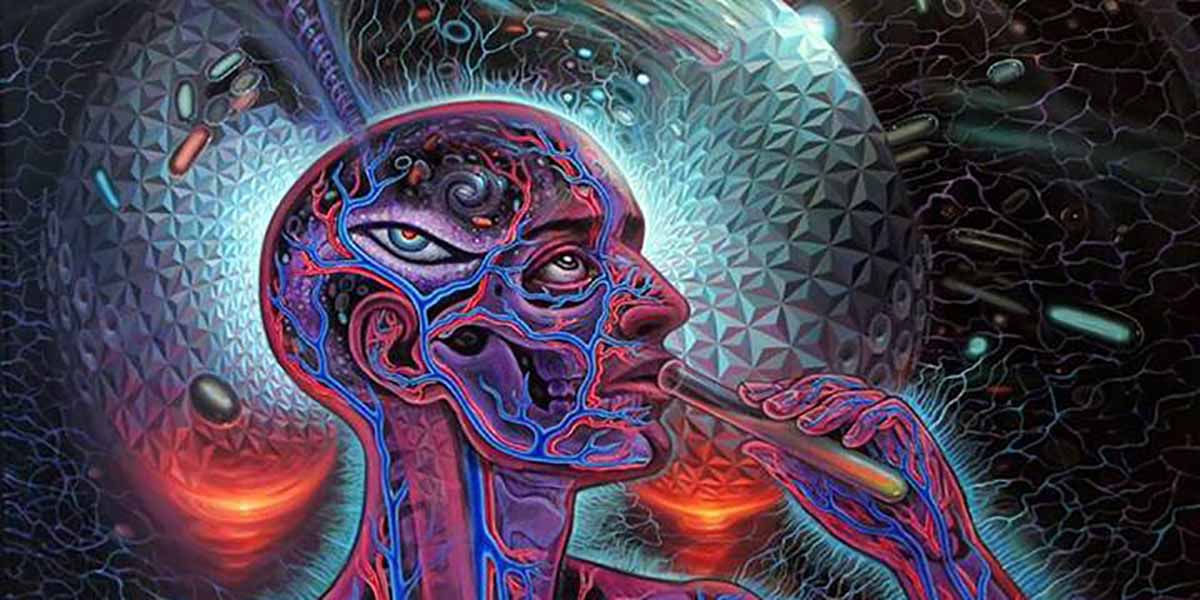 AEON EPİFİZ BEZİ AKTİVASYONU (1 AŞAMA)