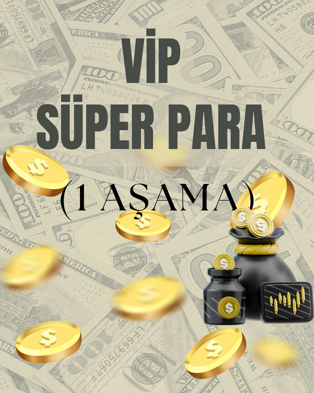 VİP SÜPER PARA (1 AŞAMA)