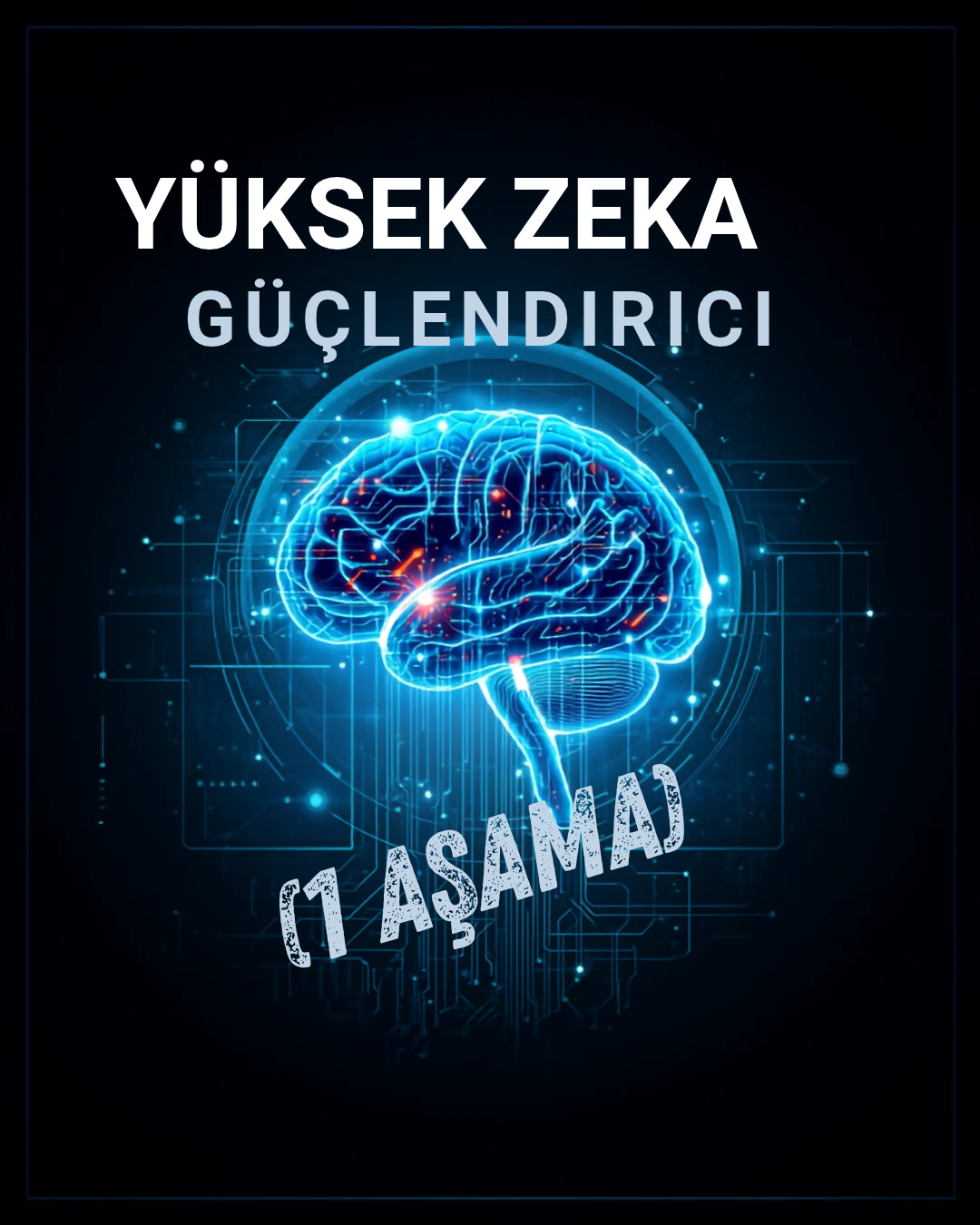 YÜKSEK ZEKA GÜÇLENDİRİCİ (1 AŞAMA)