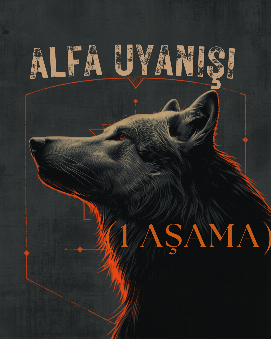 ALFA UYANIŞI (1 AŞAMA)