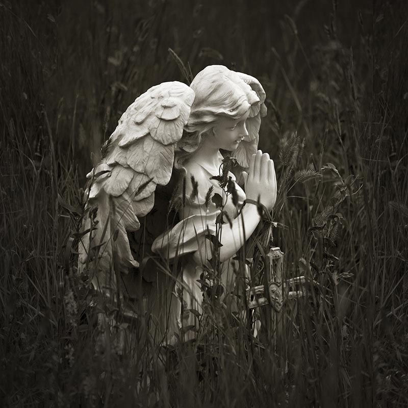 Angel of Lame Deer – Montana